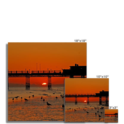 Worthing Sunset With Seagull Babies by David Sawyer C-Type Print