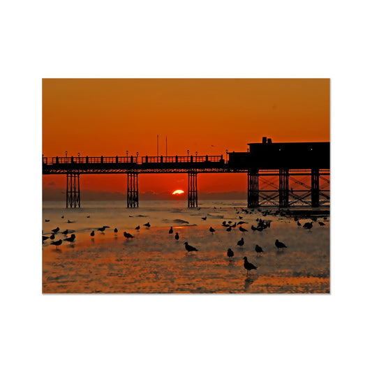 Worthing Sunset With Seagull Babies by David Sawyer Wall Art Poster