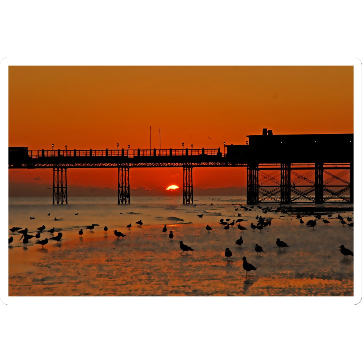 Worthing Sunset With Seagull Babies by David Sawyer Sticker