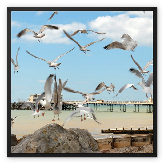 Seagulls At Feeding Time By David Sawyer Framed Canvas