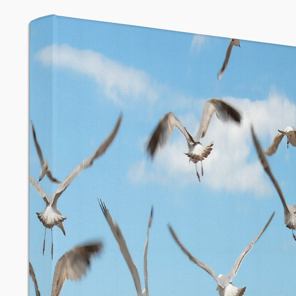 Seagulls At Feeding Time By David Sawyer Canvas