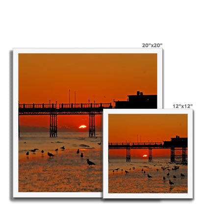 Worthing Sunset With Seagull Babies by David Sawyer Budget Framed Poster