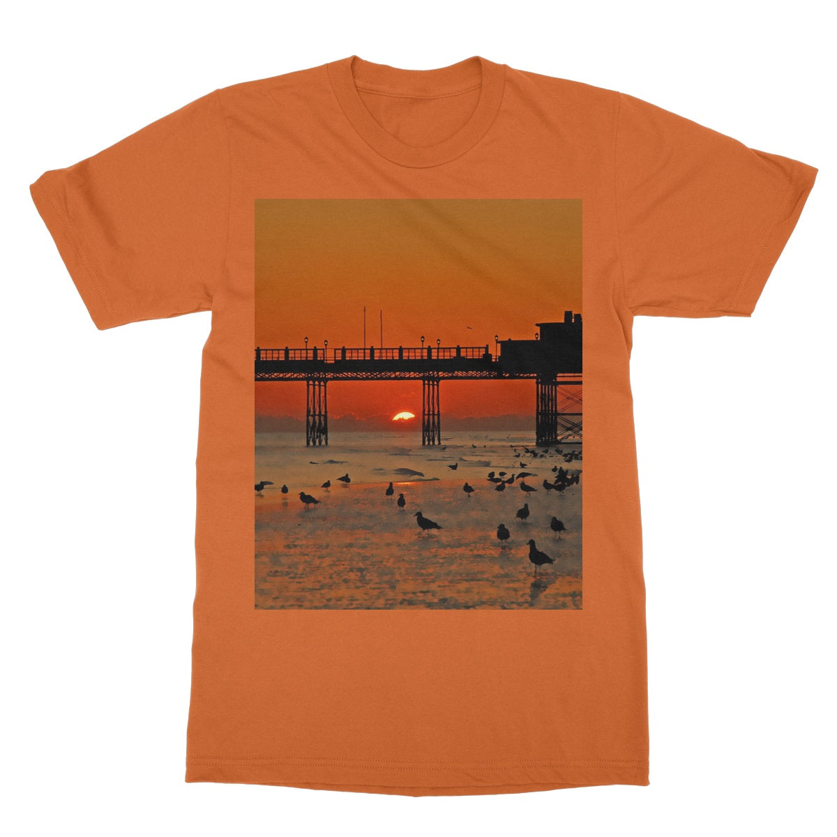 Worthing Sunset With Seagull Babies by David Sawyer Softstyle T-Shirt