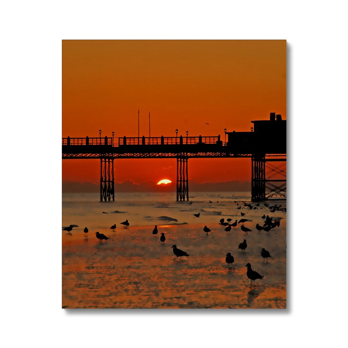 Worthing Sunset With Seagull Babies by David Sawyer Canvas