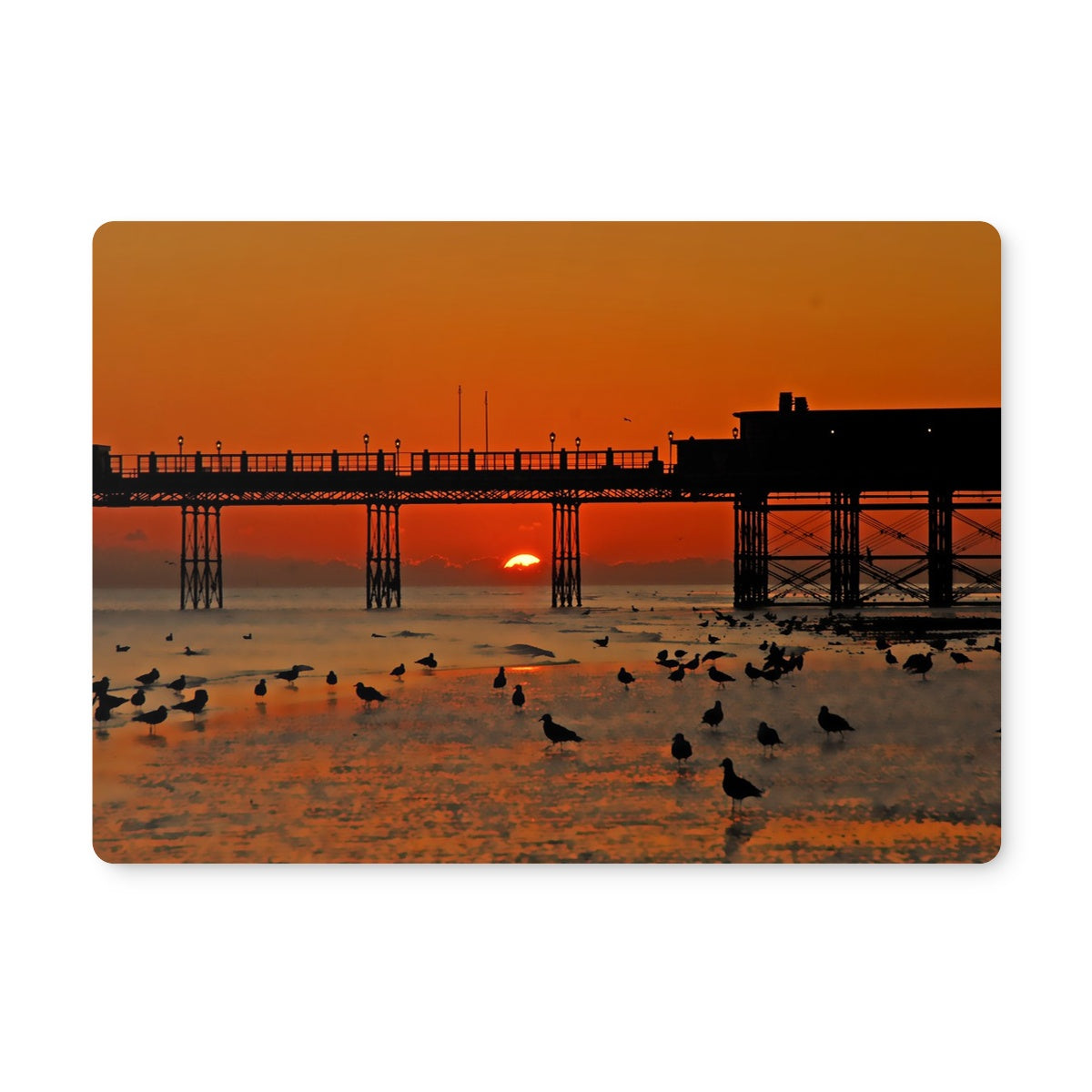 Worthing Sunset With Seagull Babies by David Sawyer Placemat
