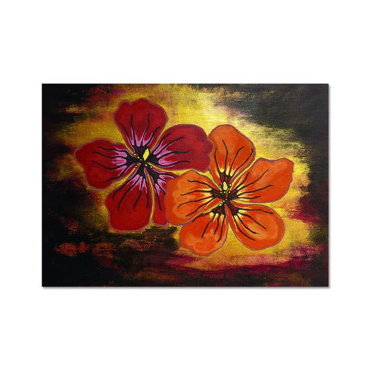 Nasturtiums Fine Art Print