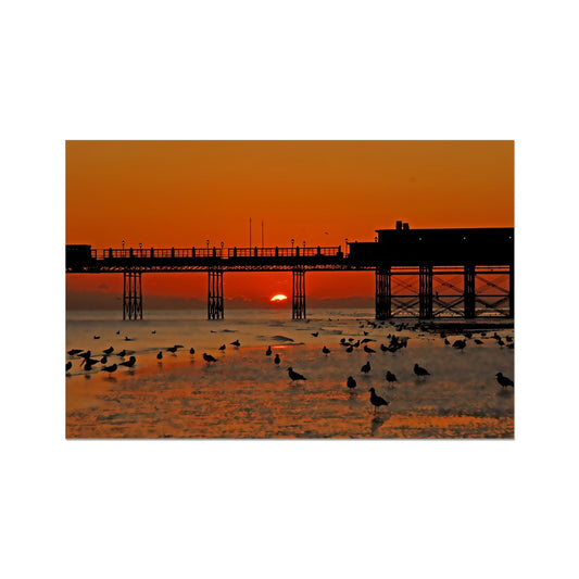 Worthing Sunset With Seagull Babies by David Sawyer Fine Art Print