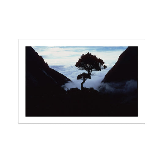ad-06-mh Photo Art Print