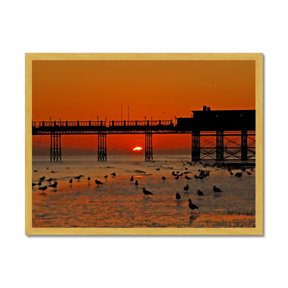 Worthing Sunset With Seagull Babies by David Sawyer Antique Framed Print