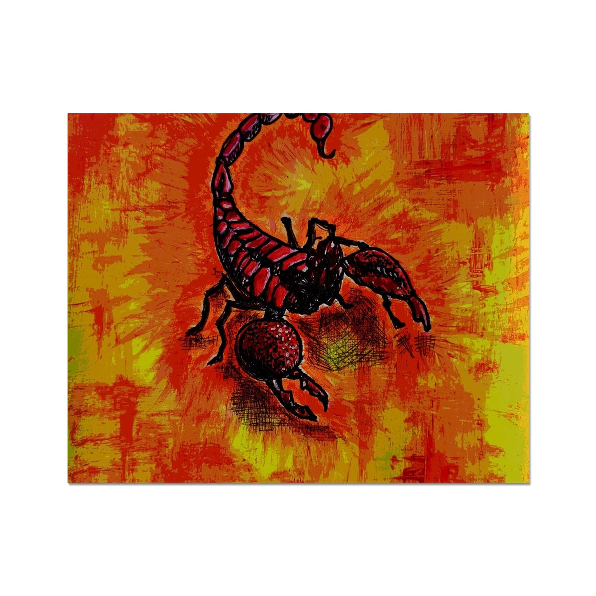 Scorpion C-Type Print