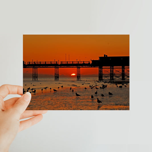 Worthing Sunset With Seagull Babies by David Sawyer Classic Postcard