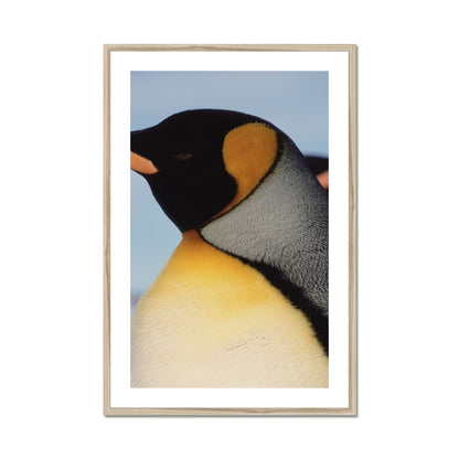 ad-08-mh Framed Print