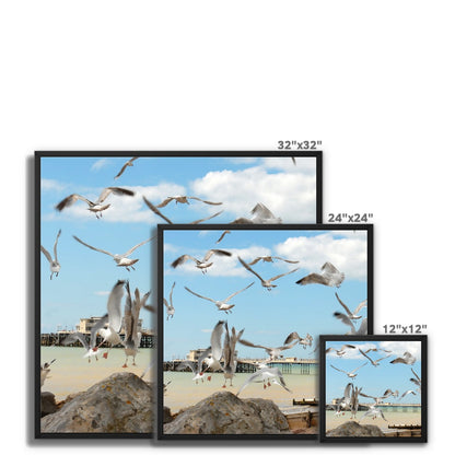 Seagulls At Feeding Time By David Sawyer Framed Canvas