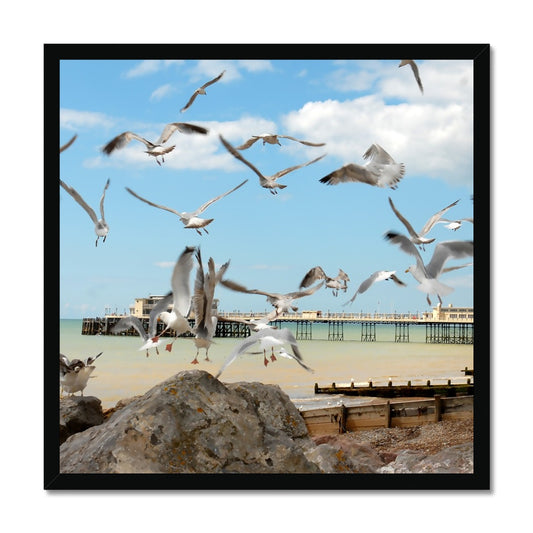 Seagulls At Feeding Time By David Sawyer Budget Framed Poster