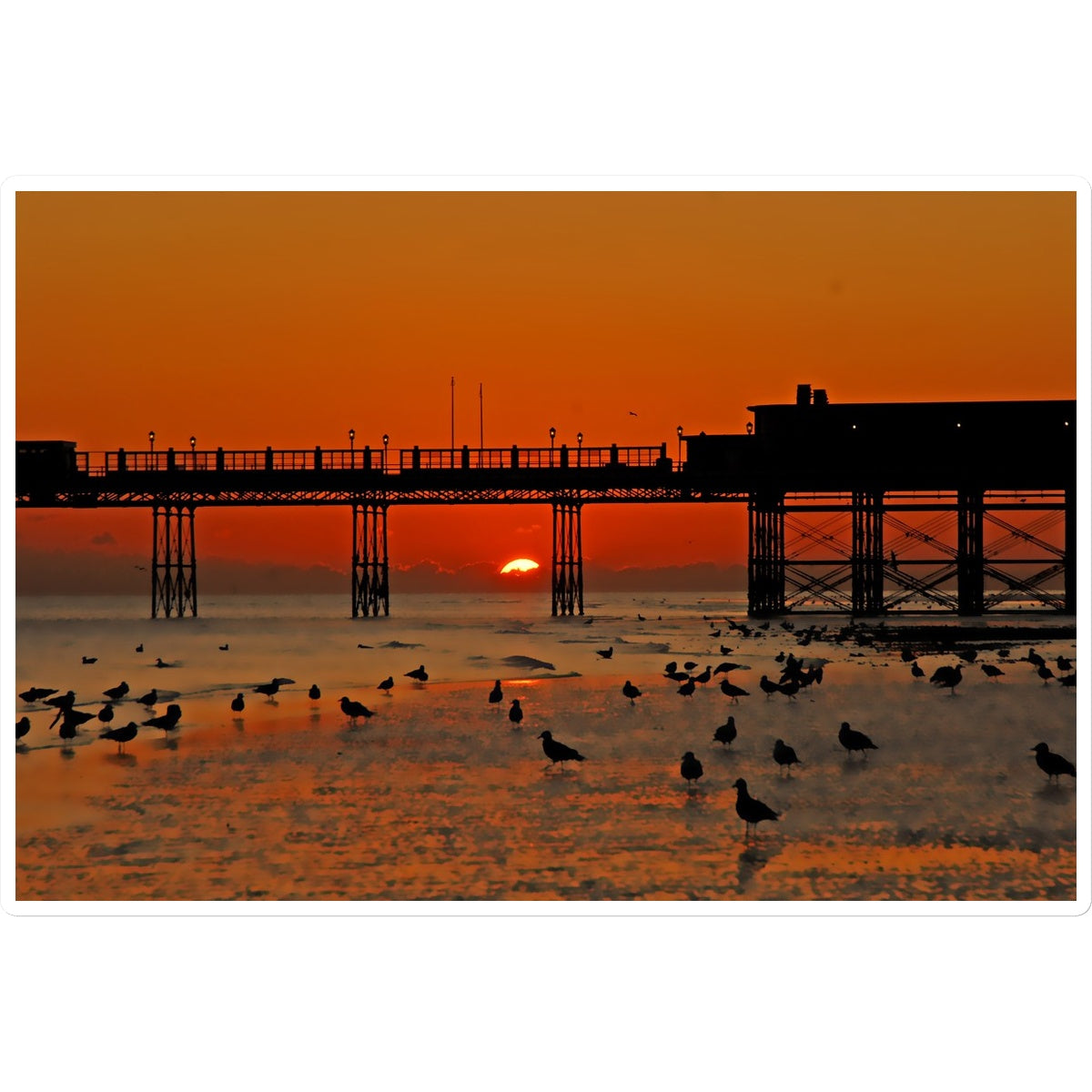 Worthing Sunset With Seagull Babies by David Sawyer Sticker