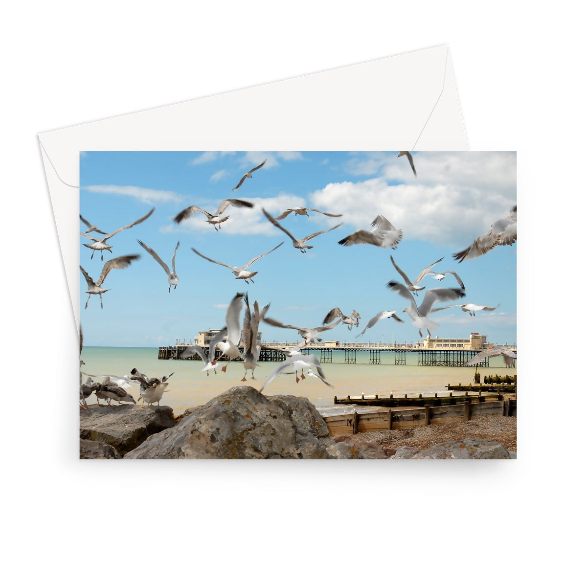 Seagulls At Feeding Time By David Sawyer Greeting Card