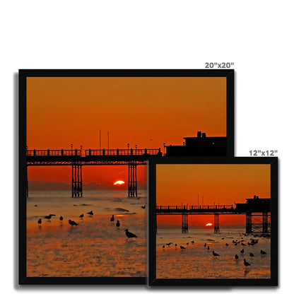 Worthing Sunset With Seagull Babies by David Sawyer Budget Framed Poster