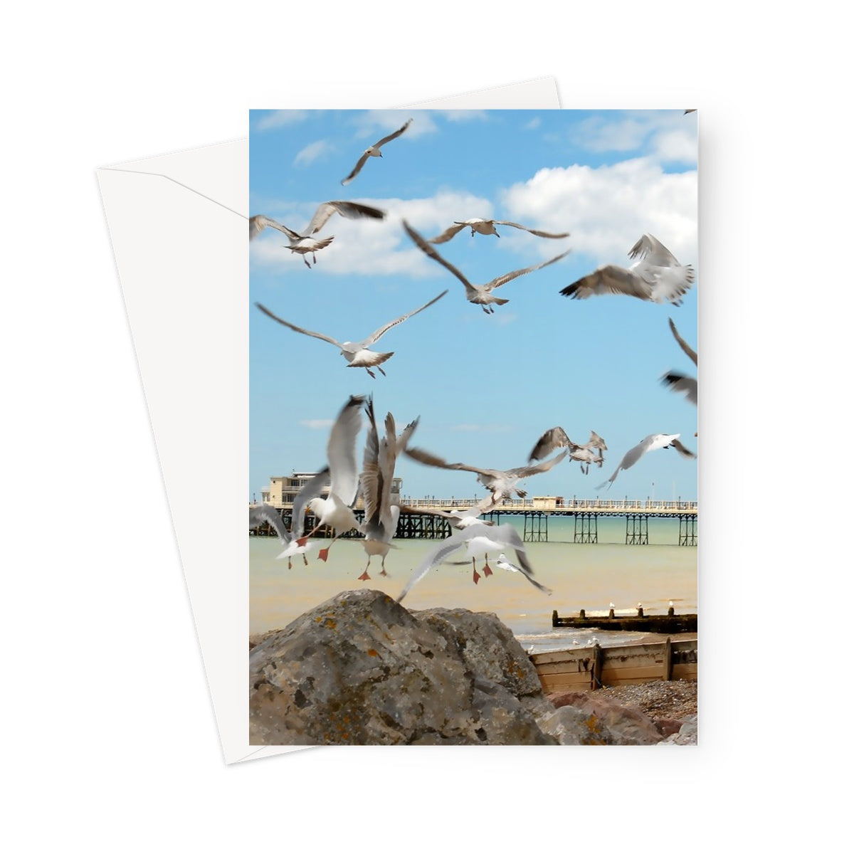 Seagulls At Feeding Time By David Sawyer Greeting Card