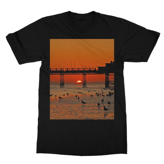 Worthing Sunset With Seagull Babies by David Sawyer Softstyle T-Shirt