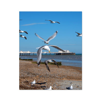 Worthing Pier From The West By David Sawyer C-Type Print