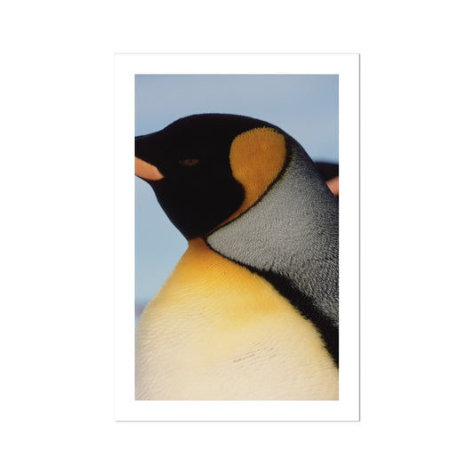 ad-08-mh Photo Art Print