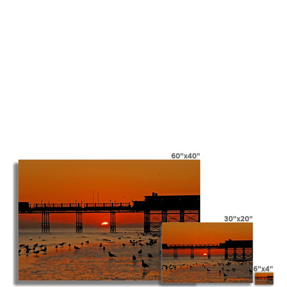 Worthing Sunset With Seagull Babies by David Sawyer Fine Art Print
