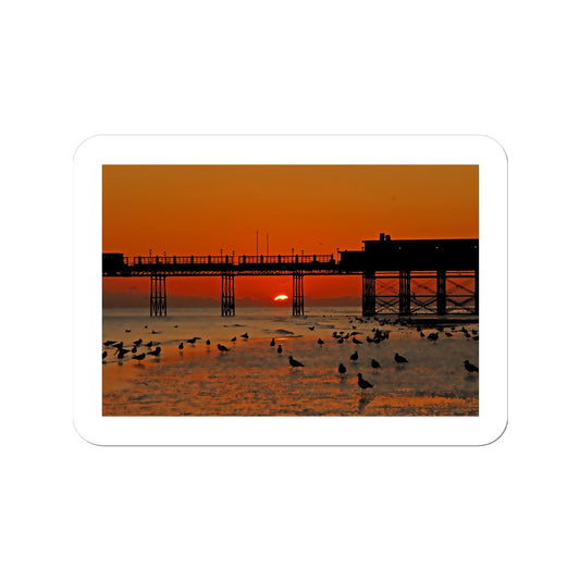 Worthing Sunset With Seagull Babies by David Sawyer Sticker