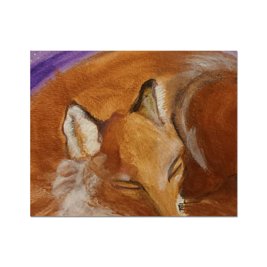 Sleepy Fox C-Type Print