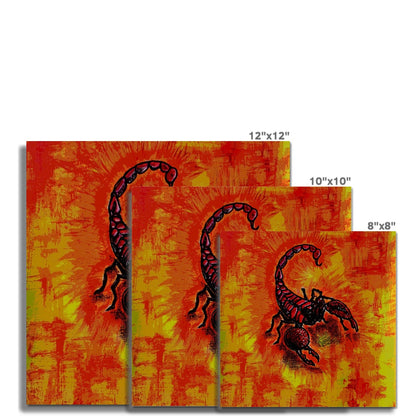 Scorpion Fine Art Print