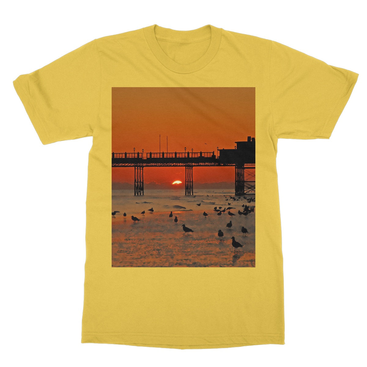 Worthing Sunset With Seagull Babies by David Sawyer Softstyle T-Shirt