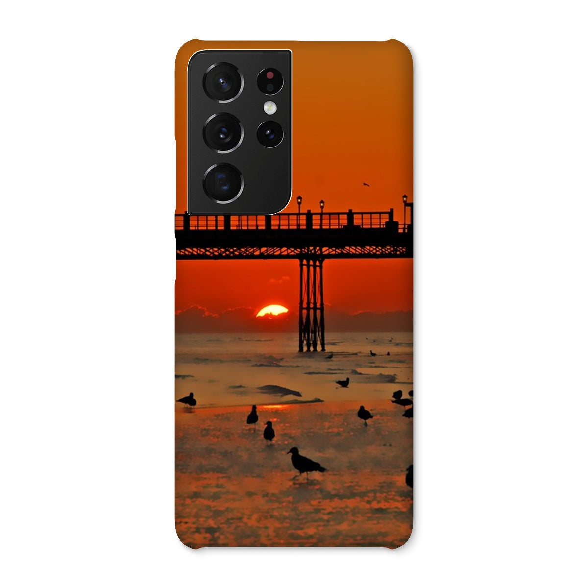 Worthing Sunset With Seagull Babies At The Pier Snap Phone Case