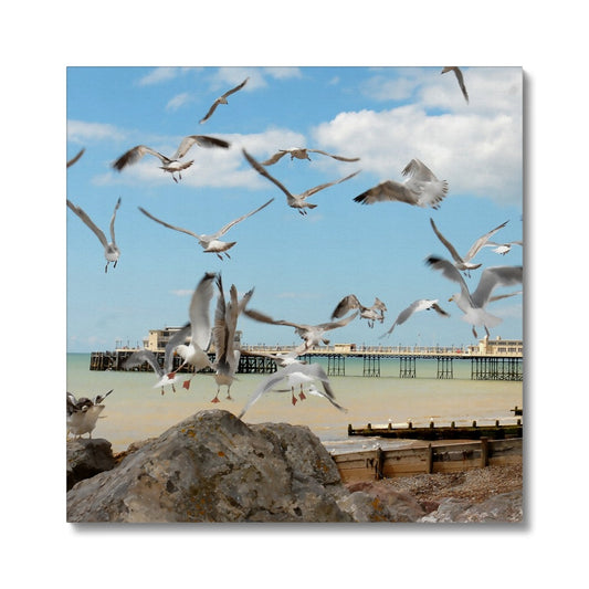 Seagulls At Feeding Time By David Sawyer Canvas