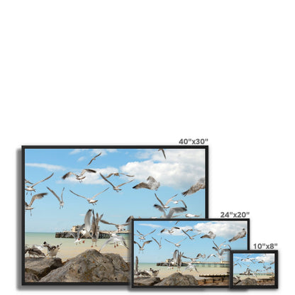 Seagulls At Feeding Time By David Sawyer Framed Canvas
