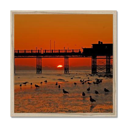 Worthing Sunset With Seagull Babies by David Sawyer Budget Framed Poster