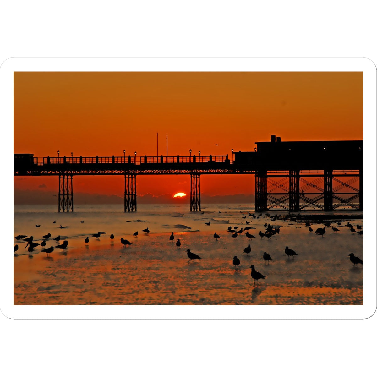 Worthing Sunset With Seagull Babies by David Sawyer Sticker