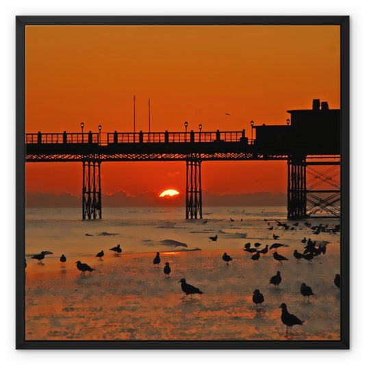 Worthing Sunset With Seagull Babies by David Sawyer Framed Canvas