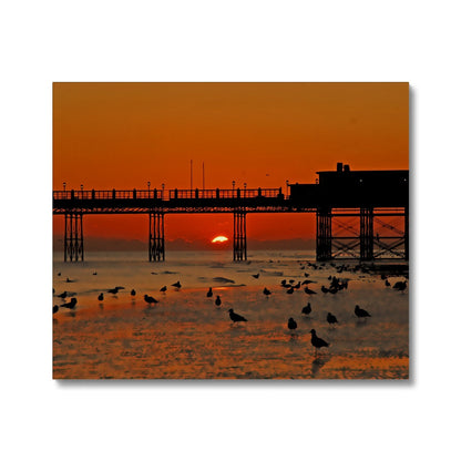 Worthing Sunset With Seagull Babies by David Sawyer Canvas