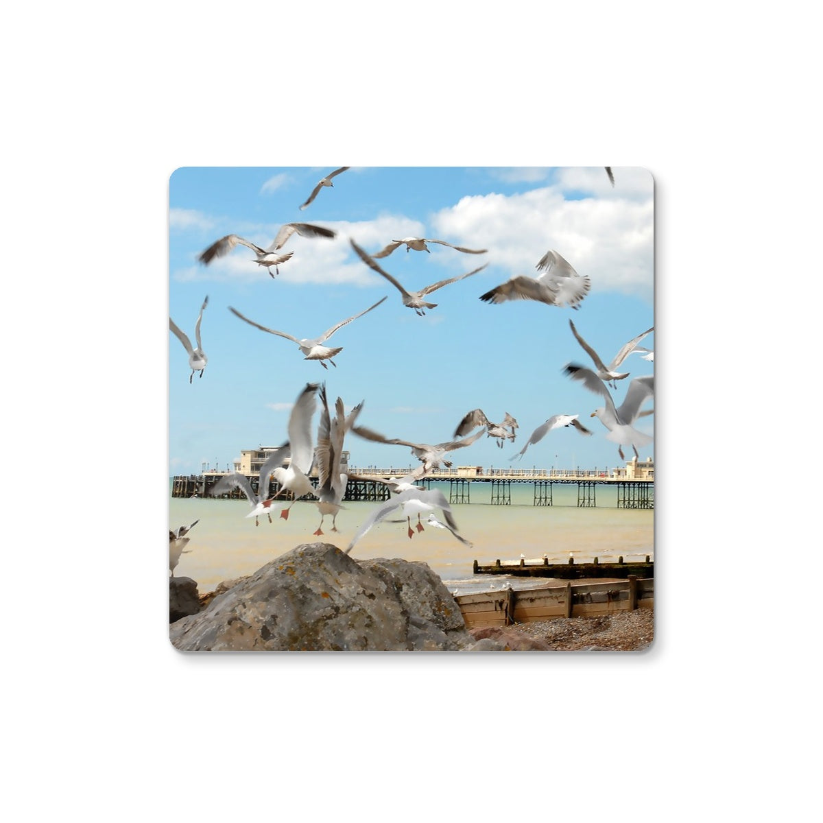 Seagulls At Feeding Time By David Sawyer Coaster