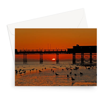 Worthing Sunset With Seagull Babies by David Sawyer Greeting Card