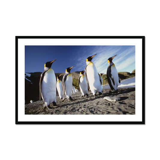 ad-09-mh Framed Print