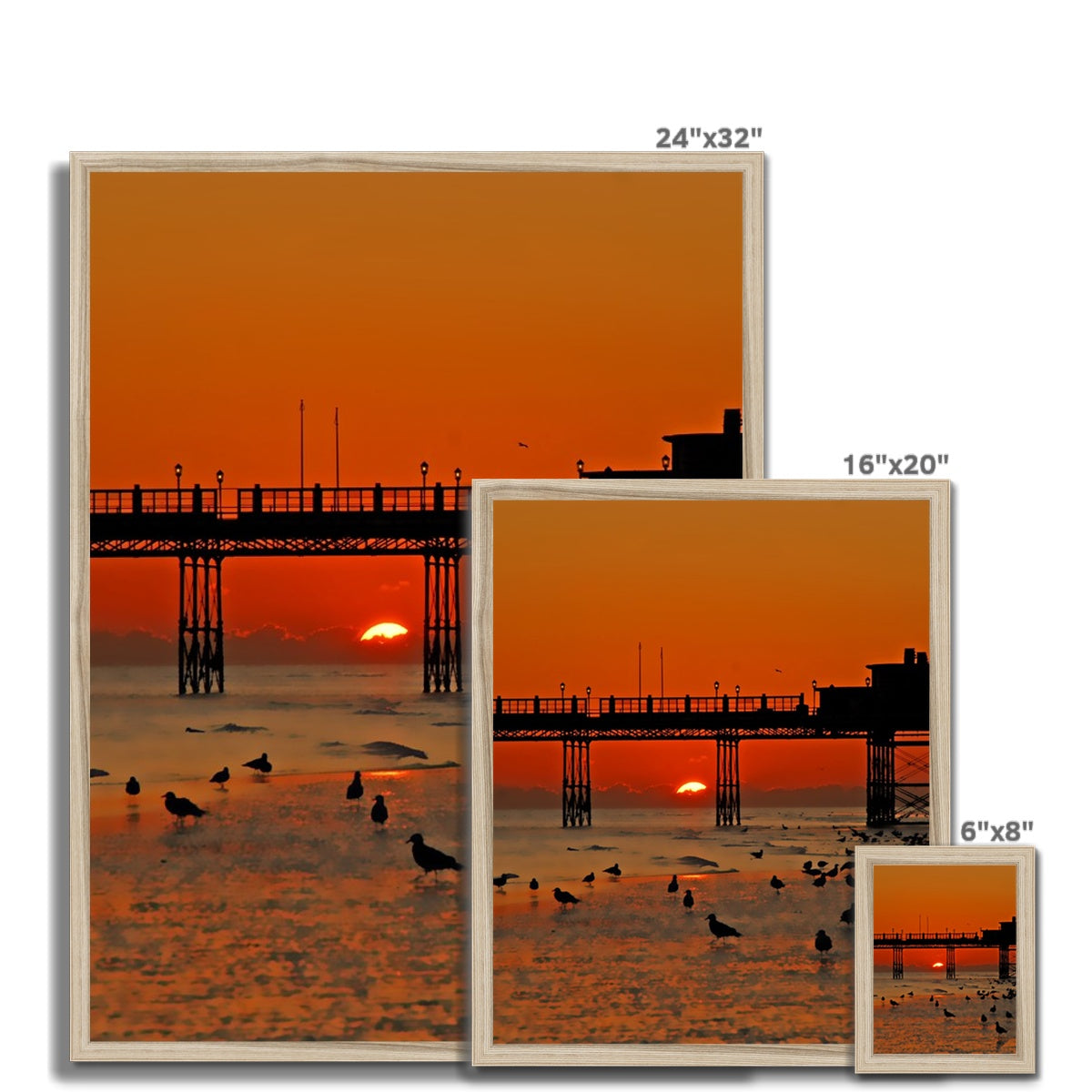 Worthing Sunset With Seagull Babies by David Sawyer Budget Framed Poster