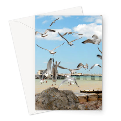 Seagulls At Feeding Time By David Sawyer Greeting Card