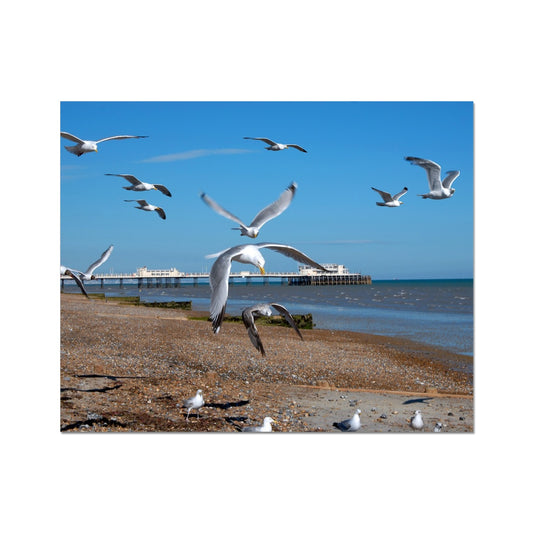 Worthing Pier From The West By David Sawyer C-Type Print