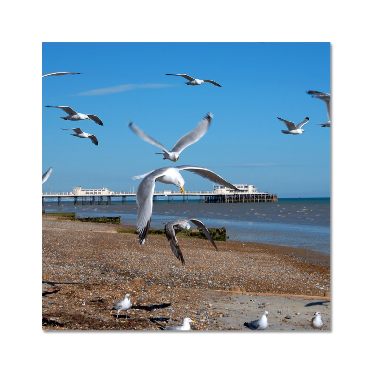 Worthing Pier From The West By David Sawyer C-Type Print