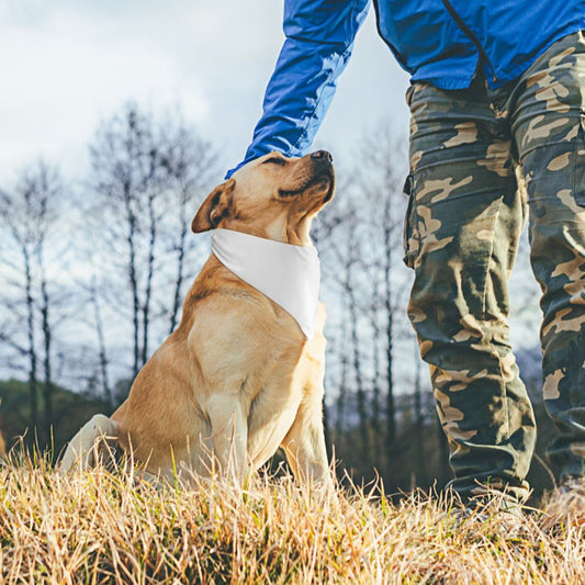 Pet scarf - Design your own