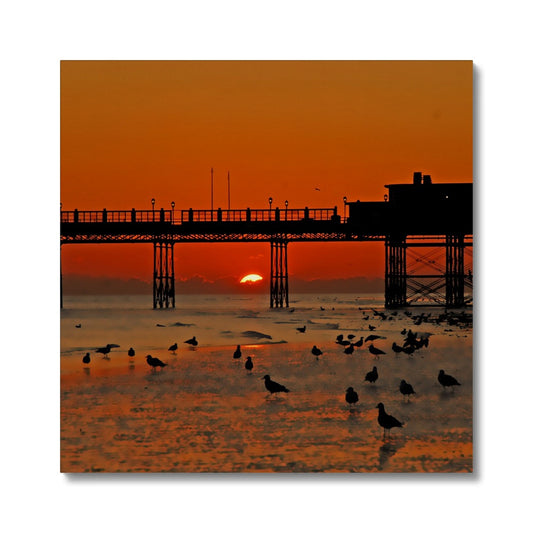 Worthing Sunset With Seagull Babies by David Sawyer Canvas