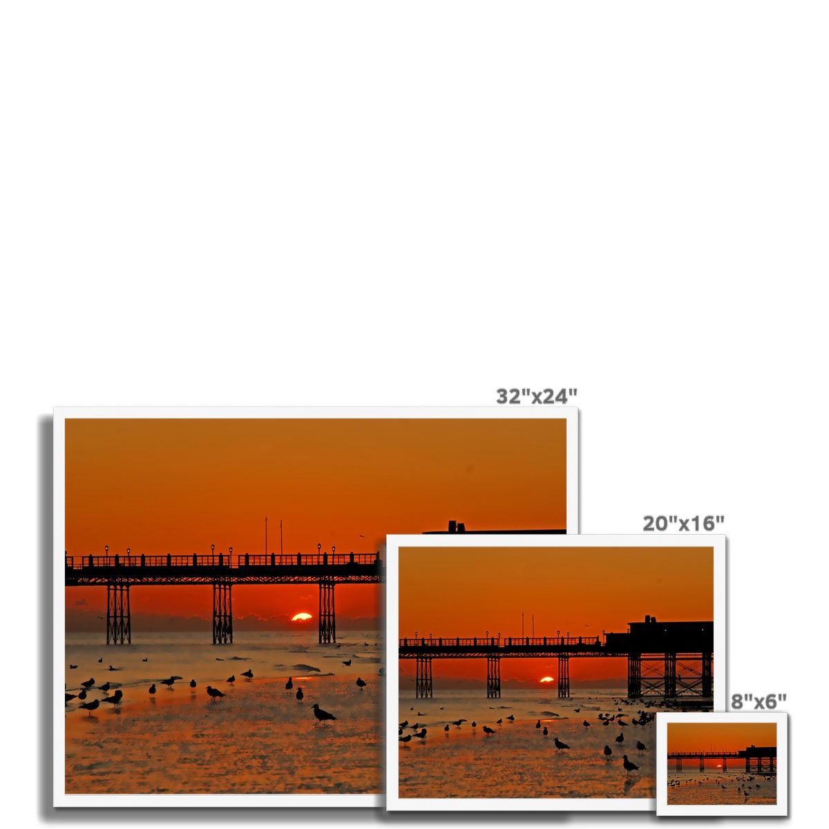 Worthing Sunset With Seagull Babies by David Sawyer Budget Framed Poster