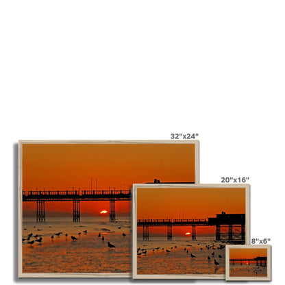 Worthing Sunset With Seagull Babies by David Sawyer Budget Framed Poster